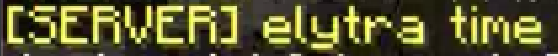 File:Elytra time.png