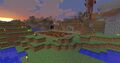A picture of diamond town's wheat farm after it was griefed. Taken in April 2012