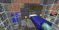dragonworm leaving DonFuer 11