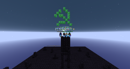 The builders of a black hole near Spawn, all of these accounts were banned from purchasing 2b2t priority queue.