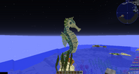 Seahorse at Poseidon