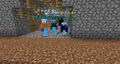 NFPR Members Meet Up