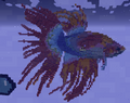 Betta Fish by Legendbake
