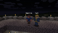 KnightVista and c1yd3i on the walls of Fort Avril